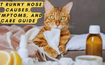 Cat Runny Nose